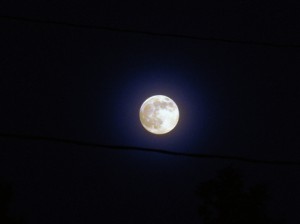 Josiane Keller - full moon over a wire