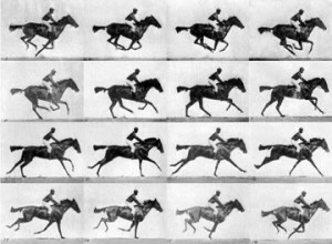 Eadweard Muybridge - Sallie Gardner at a Gallop - proof