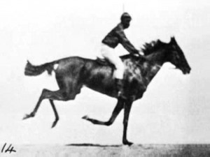 Eadweard Muybridge - Sallie Gardner at a Gallop