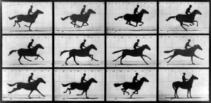 Eadweard Muybride - The Horse in Motion