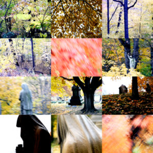 Josiane Keller - autumn color therapy