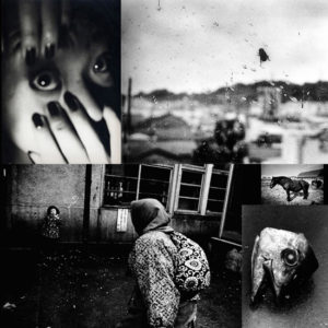 Daido Moriyama - various photographs