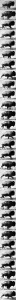 Eadweard Muybridge - Buffalo Running raw