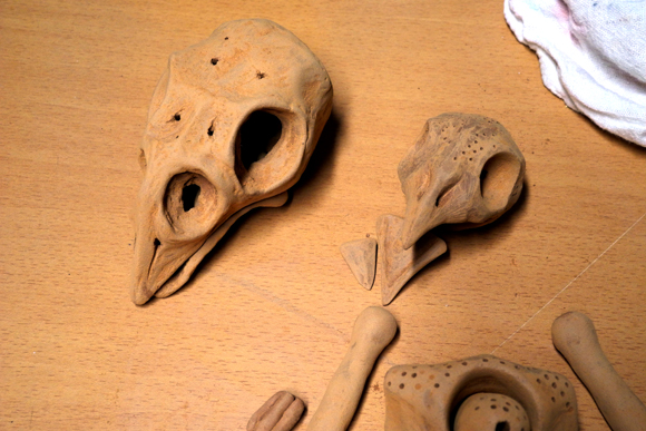 Josiane Keller - bird skulls